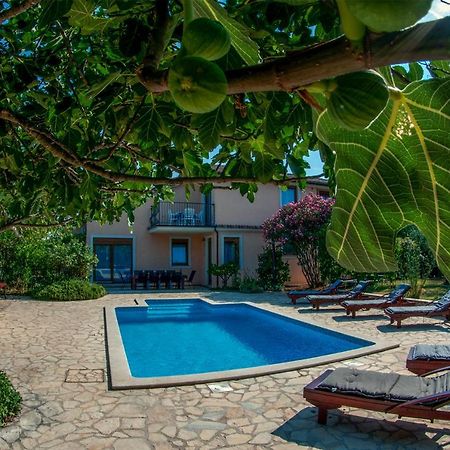 House /Villa Maja Ližnjan Exteriér fotografie