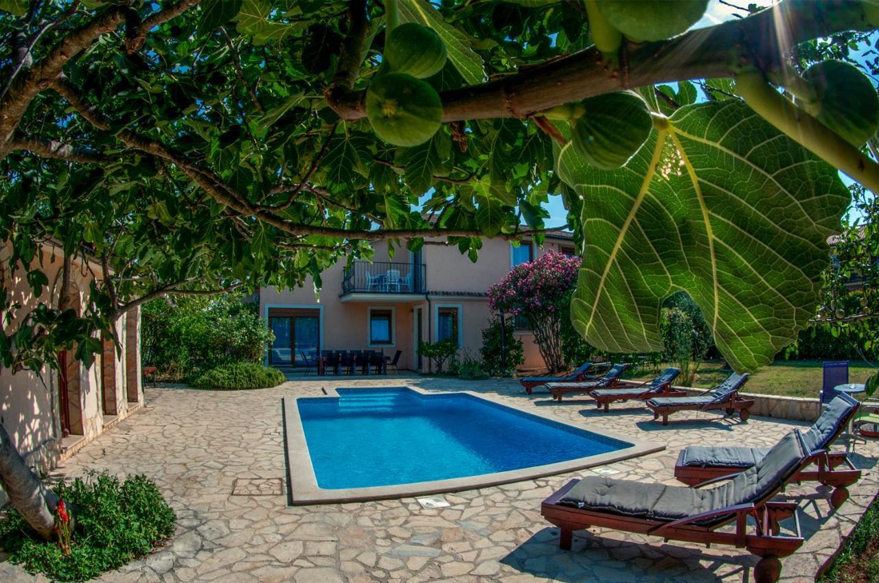 House /Villa Maja Ližnjan Exteriér fotografie