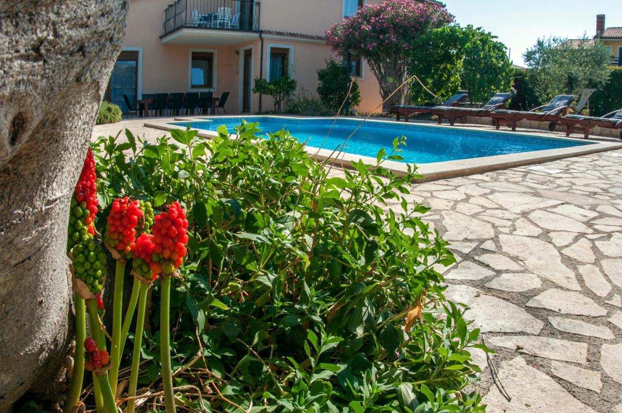 House /Villa Maja Ližnjan Exteriér fotografie